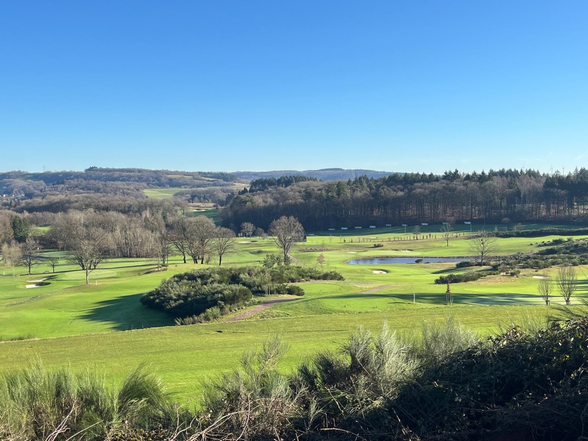 Situatives Leadership